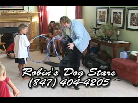 Promotional video thumbnail 2 for Robin's Dog Stars Animal Act