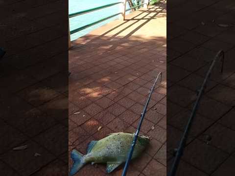 16/04/26, Itumbiara, GO.#turismo #goias #viagem #itumbiara