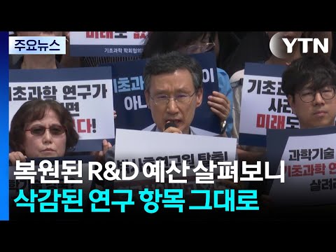 R&D 예산 복원?...예산 뜯어보니 기초연구자들 '부글' / YTN