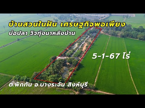 บ้านสวน สิงห์บุรี  5-1-67 ไร่ พร้อมด้วยไม้ผลหลายชนิด , ปลานานาพันธุ์ – รูปที่ 2