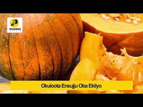 Okulooota Ensujju - Ebirooto Namakulu Gaabyo - Buganda Ekkula