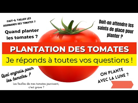 , title : 'Comment planter les tomates ? Et 20 autres questions fréquentes sur la plantation des tomates'