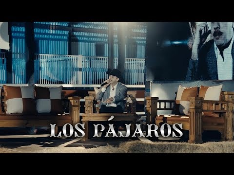 Joel Elizalde - Los Pájaros (En Vivo)