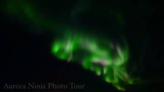 Northern Lights Shine in Yellowknife