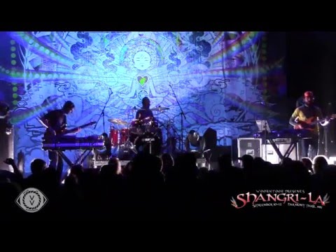 The Malah - Live at Shangri~La 2015