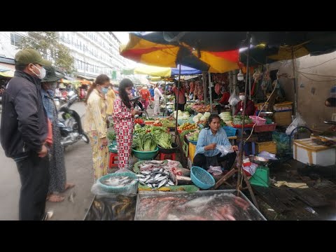 Morning Food Market At Phsar Sam Hann - Amazing Street Food At Toul Sangke Market @ Russey Keo