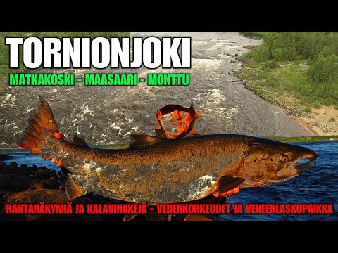 TORNIONJOKI - Matkakoski ja Maasaari Vinkit ja Näkymät ( +Vedenkorkeus ja Matkakosken veneenlasku )