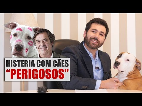 Polémica dos cães perigosos