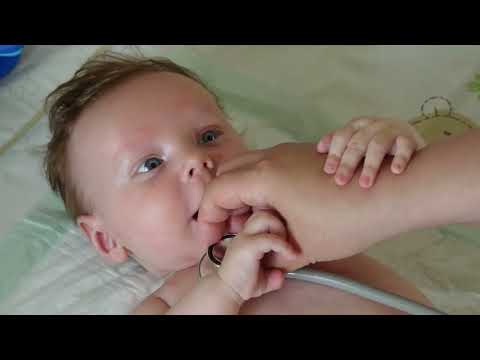 Save Lives with Sheba this GivingTuesday