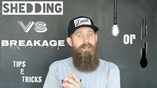 Beard hairs falling out? Shedding vs Breakage!