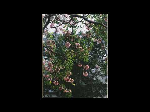 [FREE] skele x guardin type beat | "listener"