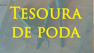 Miniatura do vídeo