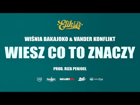 9. Wiśnia Bakajoko & Vander - WIESZ CO TO ZNACZY