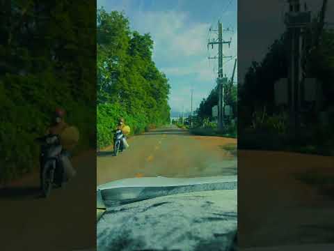 Taxi Tu Tra Đơn Dương Đi Tham Quan: Cung Đường Farm Sữa, Vườn Dâu & Chùa Vàng Video cung duong Tu Tra Don Duong - Taxi Duc Trong