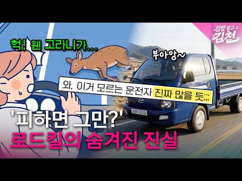 도로에서 로드킬?! 여기로 신고하세요!
