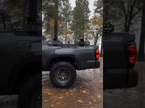 Tacoma Alpharex Tail Lights install! #tacoma #toyotatacoma #offroad #taillights #alpha