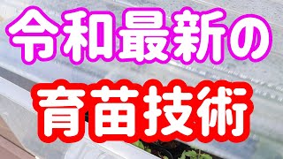 最新お手軽育苗技術を大公開　明日はみんなでホームセンターへレッツゴー！！
