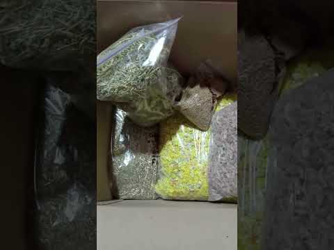 Девясил корень (1 кг) - фото 2 - id-p2497078133