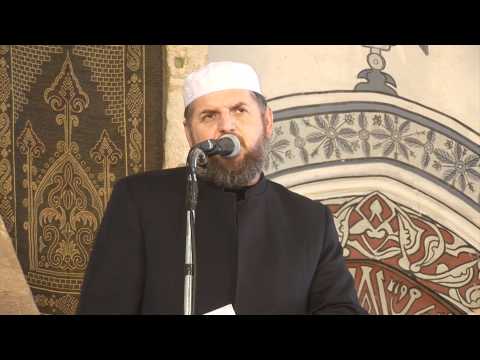 Heshtja --- Dr.Shefqet Krasniqi