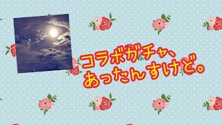 【白猫プロジェクト】試しでシャーマンキングのやつ22連回してみた!!【コラボガチャ】