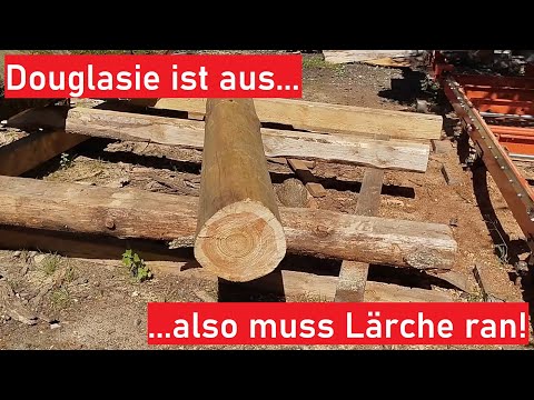 Jetzt geht’s an die Lärchen! Mehr Zaunbretter schneiden mit dem Sägewerk.