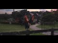 Rooster From Peter Rabbit The Sun Came Up Again