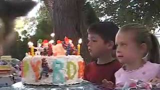 preview picture of video 'Trevor's 7th Birthday'