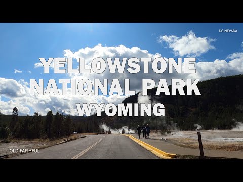 Yellowstone National Park, WY - Scenic Drive 4K