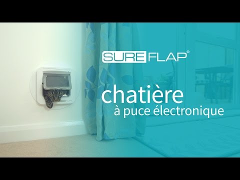 Remplacement de la porte SureFlap