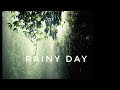 RAINY DAY ️ RAIN WHATSAPP STATUS