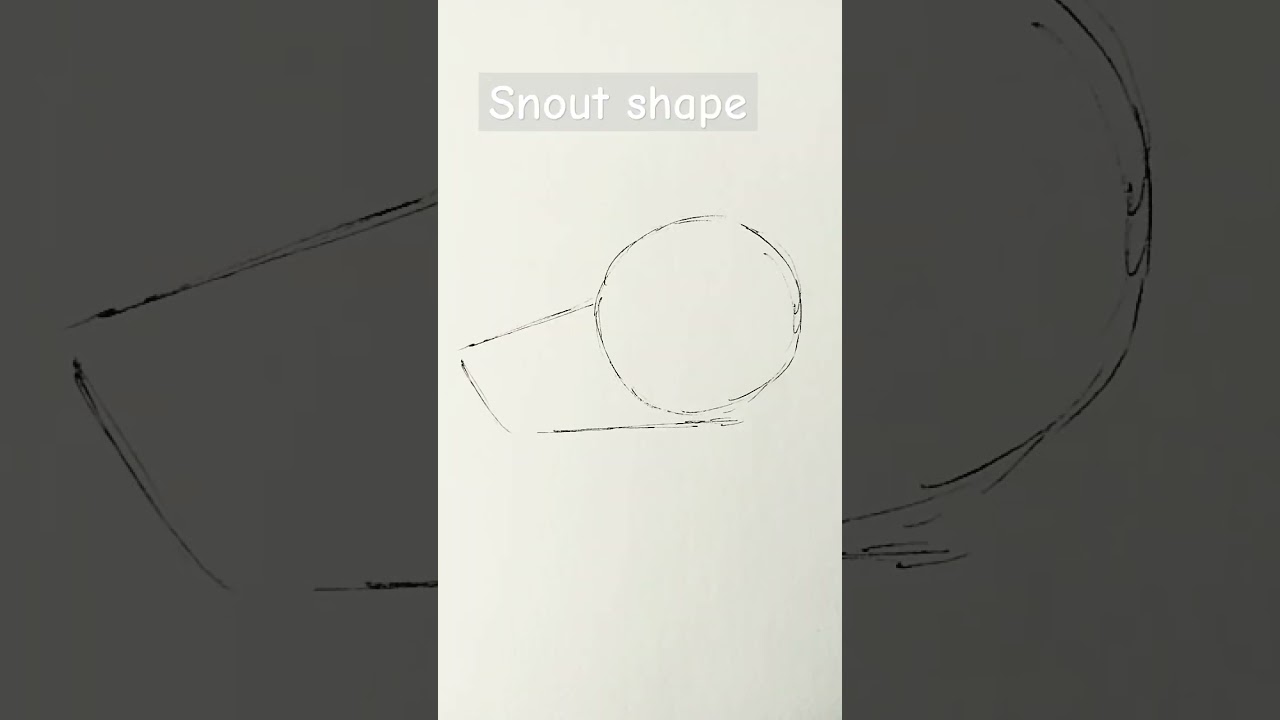 Quick #dragon head #tutorial ~ #wof #wingsoffire #art #drawing