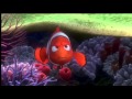 Finding Nemo S Body
