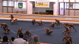 preview picture of video 'Tigers-Gymnastics Performance-Salto מופע התעמלות בלבוש נמרים-להקת סלטו'