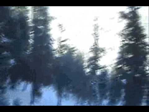 Mammoth 07 Chase - Dahan Family