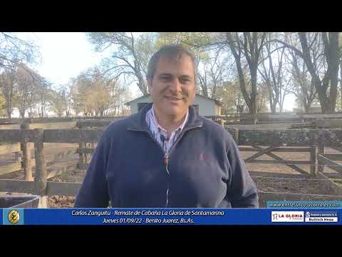 01-09-22 - Carlos Zanguitu - Remate de Cabaña La Gloria de Santamarina -  Benito Juarez, Bs.As.