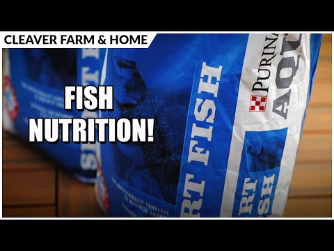 Fish Supplemental Feeding with Purina | Cleaver Farm & Home