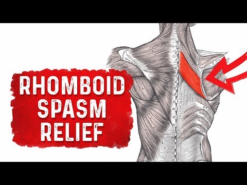 Deeper Causes of Pain Inflammation – Dr Berg