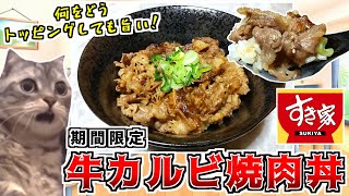 すき家の期間限定 牛カルビ焼肉丼をテイクアウトで頂く！【猫ミーム】