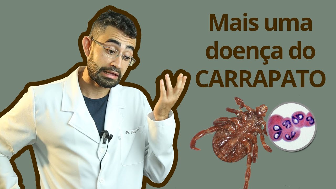 Babesiose | Dica Veterinária #17