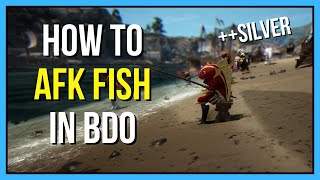 How to AFK Fish in Black Desert Online (for Beginners!)