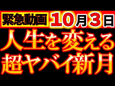植物は予想以上に助け合います