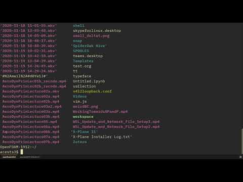 Setting up our first case (Carotid Steady State)