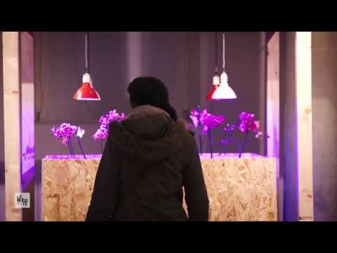 Mus.e – Le Murate. Progetti Arte Contemporanea