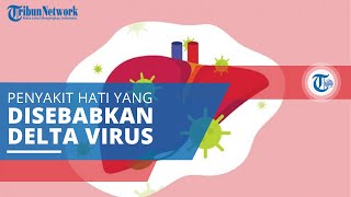 Hepatitis D, Peradangan di Hati yang Disebabkan oleh Delta Virus