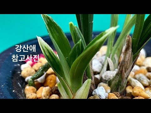유튜브 썸네일