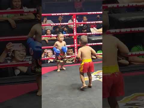 มาดูไฮไลท์ มวยวันเด็ก DREAM FIGHT 2 สนุกๆ...วันเด็ก 10 ม.ค 69 เวทีมวยปทุม #ช็อตเด็ดมวยไทย #muaythai