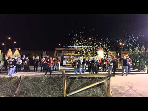 Polish American String Band 2015 Rehearsal