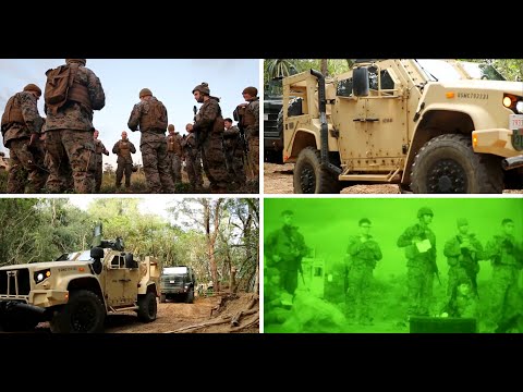 U.S. Marines with 3rd LSB Battalion Field Exercise I: Bravo Company operations