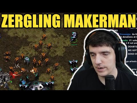 arty is amused by zergling maker