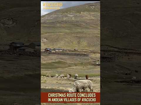 Finalizó actividades Navideñas a pueblos Altoandinos en extrema pobreza bajo 0ºC de Ayacucho
